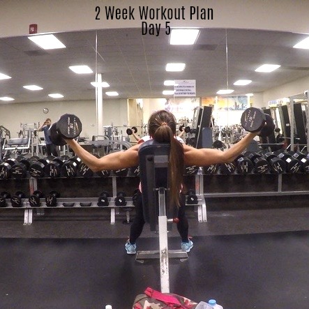 2 Week Workout Plan Day 5: Shoulders Chest Abs