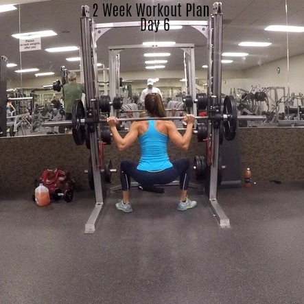 2 Week Workout Plan Day 6: Legs Triceps Abs