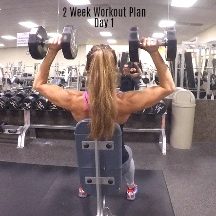 2 Week Workout Plan Day 1: Shoulders, Back, Abs | Fitness Food Diva